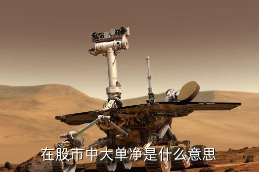 大單凈值什么意思，大單凈比是什么意思