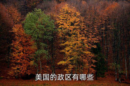 美國(guó)地方政府自治包括什么，美國(guó)的政府體制是什么