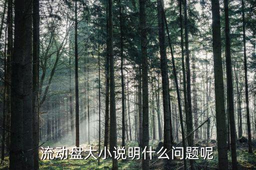 流通盤大小是什么意思，流通盤大小作用等