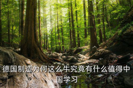 德國制造學(xué)什么，請問知情的盆友們?nèi)サ聡魧W(xué)材料加工類鑄造焊接模具
