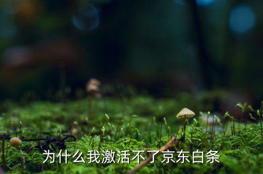 為什么京東的白條激活不了，京東商城的白條為什么激活不了