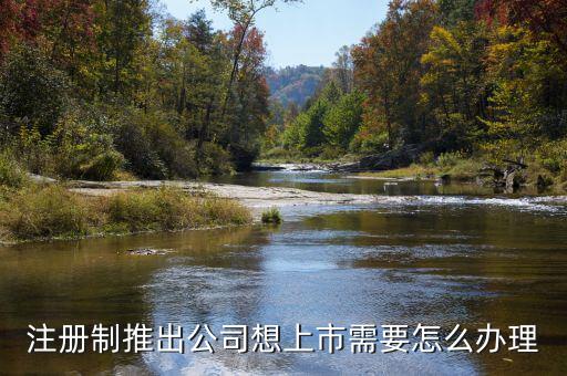 注冊制上市要什么條件，注冊制推出公司想上市需要怎么辦理