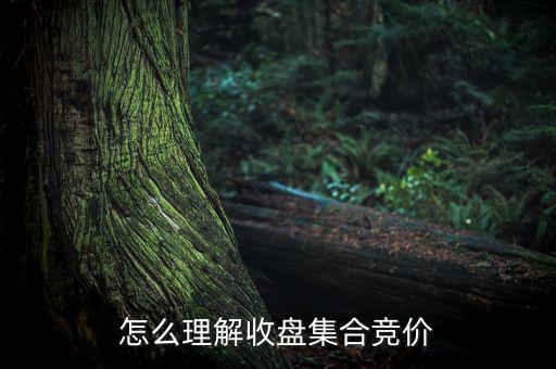 怎么理解收盤(pán)集合競(jìng)價(jià)