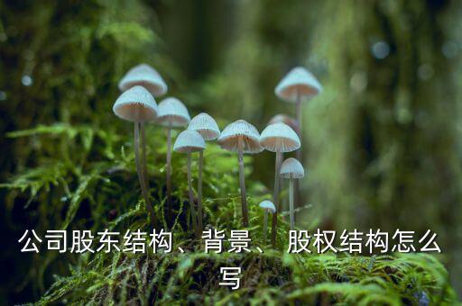 公司股東結(jié)構(gòu)、背景、 股權(quán)結(jié)構(gòu)怎么寫