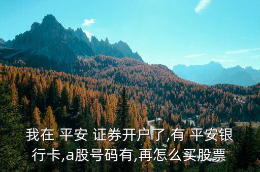 我在 平安 證券開(kāi)戶(hù)了,有 平安銀行卡,a股號(hào)碼有,再怎么買(mǎi)股票