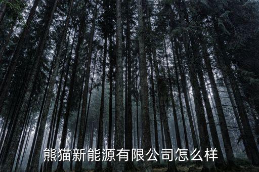 熊貓資本怎么樣,南京熊貓信息產業(yè)有限公司注冊資本逾千萬元