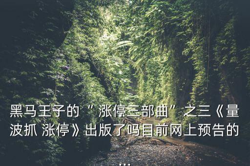 黑馬王子的“ 漲停三部曲”之三《量波抓 漲?！烦霭媪藛崮壳熬W(wǎng)上預(yù)告的...