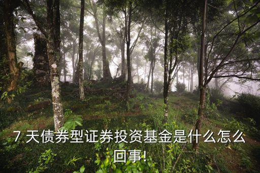 廣發(fā)理財(cái)7天債a怎么樣,廣發(fā)定制銀行存款風(fēng)險較小