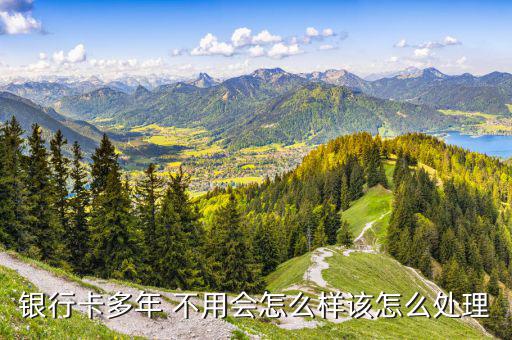 儲蓄卡不用了怎么辦,系統(tǒng)不會自動注銷農(nóng)行中行、郵政儲蓄卡