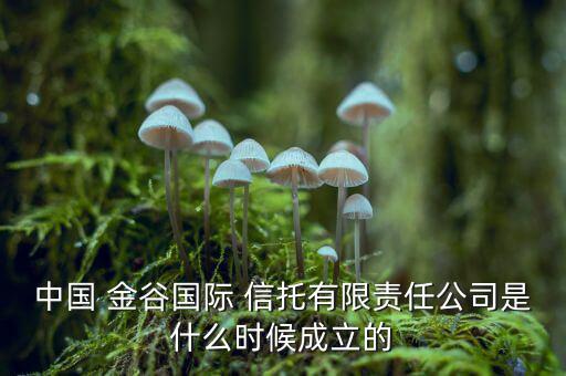 中國(guó) 金谷國(guó)際 信托有限責(zé)任公司是什么時(shí)候成立的