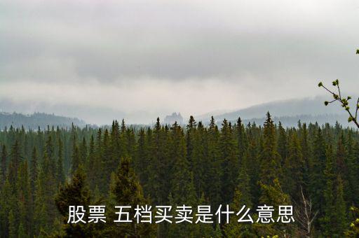  股票 五檔買(mǎi)賣是什么意思