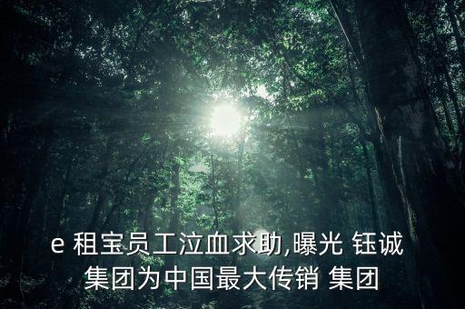 鈺誠集團e租寶怎么樣,完美山傳銷被拘留罪與e租寶有關聯(lián)