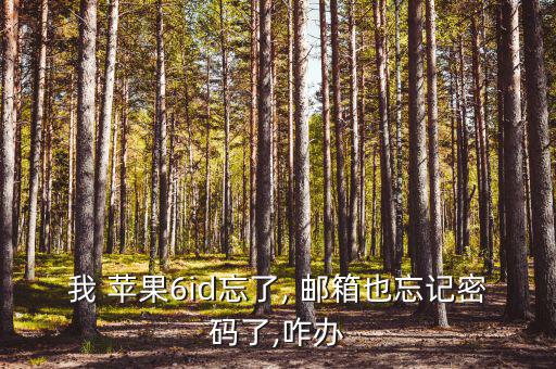 蘋果6郵箱怎么查找上個月,點擊進(jìn)入蘋果手機設(shè)置按鈕