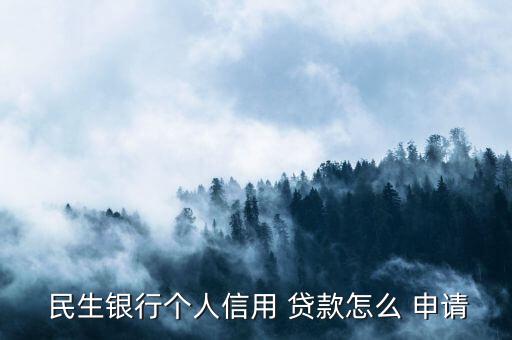  民生銀行個(gè)人信用 貸款怎么 申請