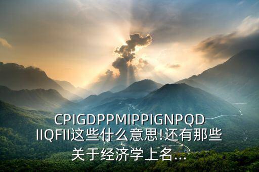 CPIGDPPMIPPIGNPQDIIQFII這些什么意思!還有那些關于經濟學上名...