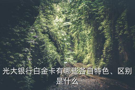 光大銀行白金卡有哪些各自特色、區(qū)別是什么