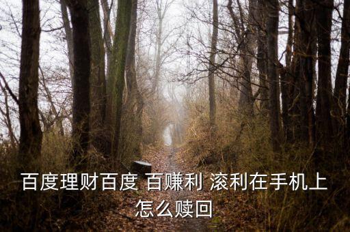 百度理財百度 百賺利 滾利在手機(jī)上怎么贖回
