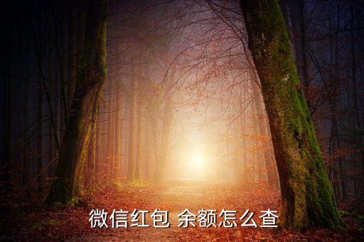 微信余額怎么查,微信查詢(xún)銀行卡余額流程如下；