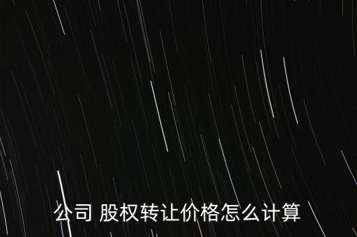 公司 股權(quán)轉(zhuǎn)讓價格怎么計(jì)算