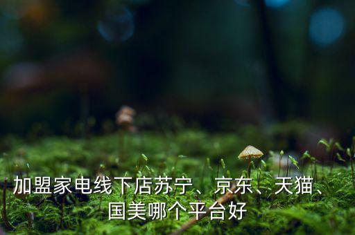 加盟家電線下店蘇寧、京東、天貓、 國美哪個(gè)平臺(tái)好
