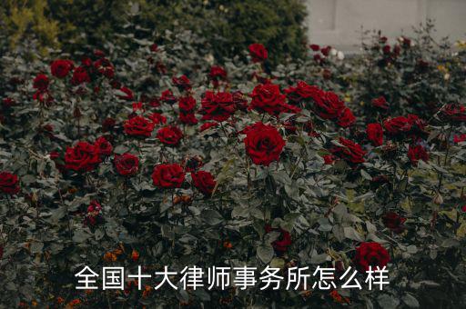 全國十大律師事務所怎么樣