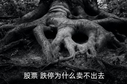  股票 跌停為什么賣(mài)不出去