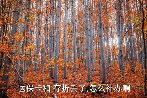  醫(yī)?？ê?存折丟了,怎么補(bǔ)辦啊