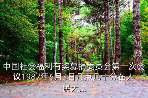 中國社會(huì)福利有獎(jiǎng)募捐委員會(huì)第一次會(huì)議1987年6月3日幾點(diǎn)幾十分在人民大...