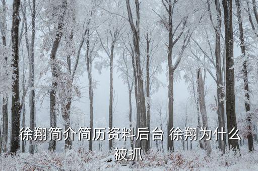 徐翔是怎么回事,徐翔、王偉、犯受賄罪被判入獄五年半