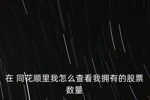 在 同花順里我怎么查看我擁有的股票數量