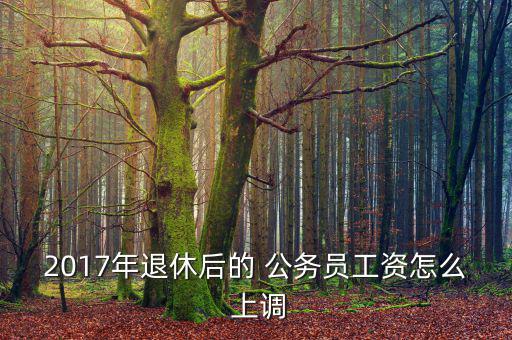 2017年退休后的 公務員工資怎么 上調(diào)