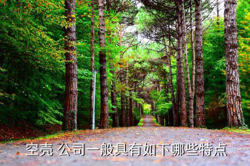 怎么購買空殼公司郴州,關于空殼公司你必須知道的5件事