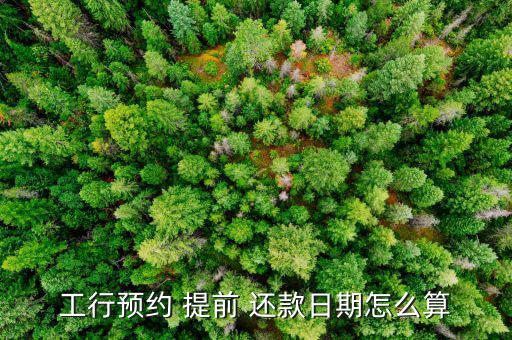 工行預約 提前 還款日期怎么算