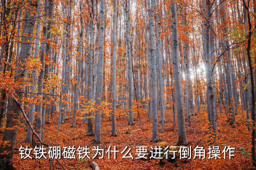 吃進(jìn)了釹鐵硼怎么辦,你說的鐵硼是什么?其實(shí)是鐵氧體!