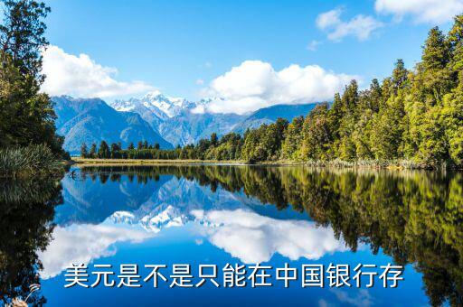 美元怎么保存,匯款幣種包括新加坡元、港元、澳元