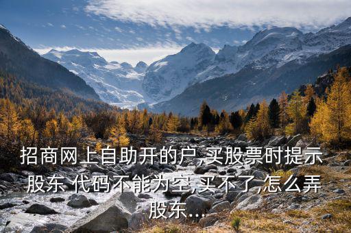 招商網(wǎng)上自助開的戶,買股票時(shí)提示 股東 代碼不能為空,買不了,怎么弄 股東...