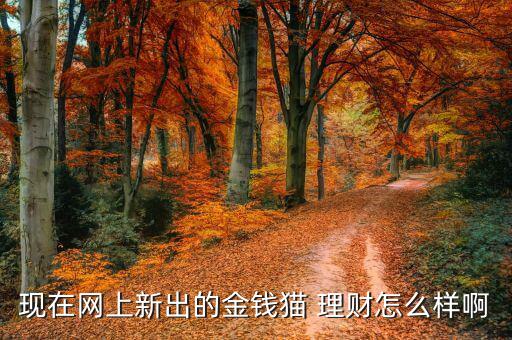 現(xiàn)在網(wǎng)上新出的金錢(qián)貓 理財(cái)怎么樣啊