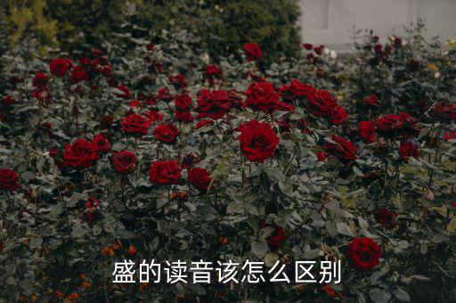 嘉盛中心的盛怎么讀,盛會(huì)、豐盛、茂盛、盛大等五個(gè)漢字