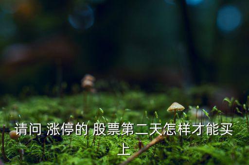 請(qǐng)問(wèn) 漲停的 股票第二天怎樣才能買(mǎi)上