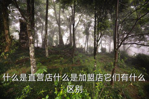 直營部拼音怎么拼,直營店是指總公司直接經營各種零售網(wǎng)點
