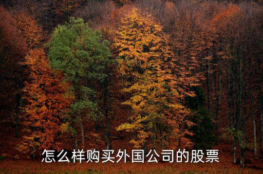 怎么樣購(gòu)買(mǎi)外國(guó)公司的股票