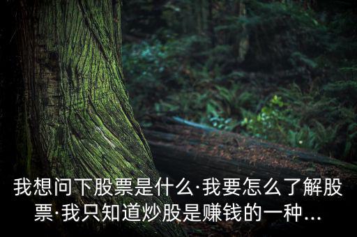 進(jìn)行個(gè)股簡(jiǎn)單說(shuō)明怎么寫,投資股票要學(xué)會(huì)釣魚，學(xué)會(huì)吃魚!