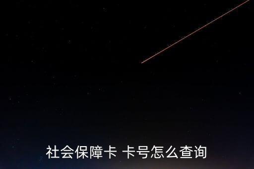 怎么找社保卡號(hào),如何查詢(xún)社保賬號(hào)?一文看懂
