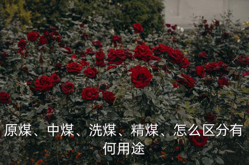 原煤、中煤、洗煤、精煤、怎么區(qū)分有何用途