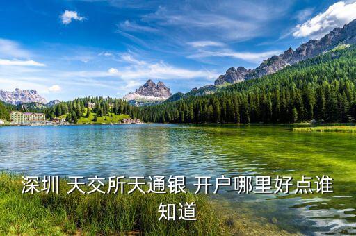 深圳 天交所天通銀 開戶哪里好點(diǎn)誰(shuí)知道