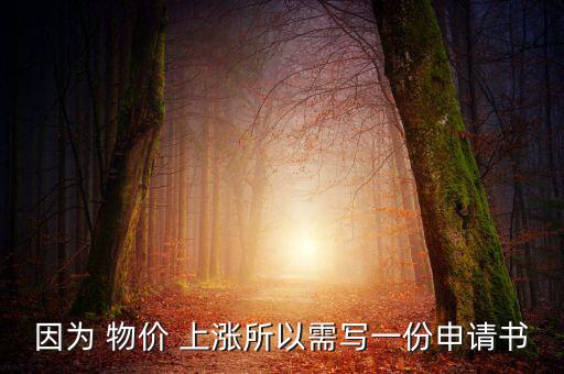 因?yàn)?物價(jià) 上漲所以需寫一份申請(qǐng)書(shū)