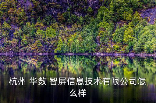杭州 華數(shù) 智屏信息技術有限公司怎么樣