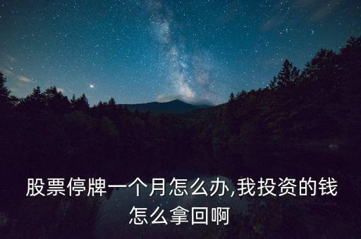  股票停牌一個(gè)月怎么辦,我投資的錢(qián)怎么拿回啊
