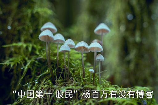怎么在微博上找股民,股市投資策略要正確引領投資者未來的成功