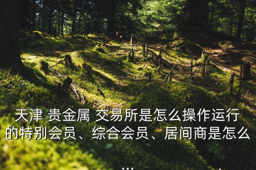 天津 貴金屬 交易所是怎么操作運行的特別會員、綜合會員、居間商是怎么...